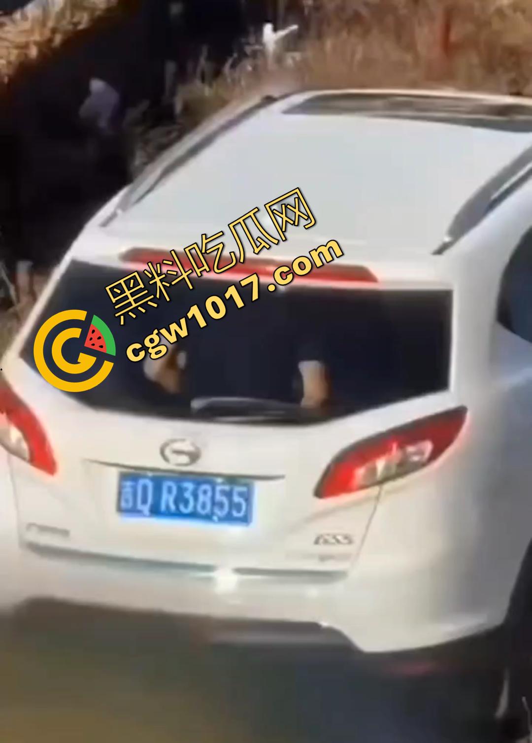 辽源市的吉DR3855 野外车震完整曝光!大屁股后入白嫩晃眼,车主直接社死全国!-1