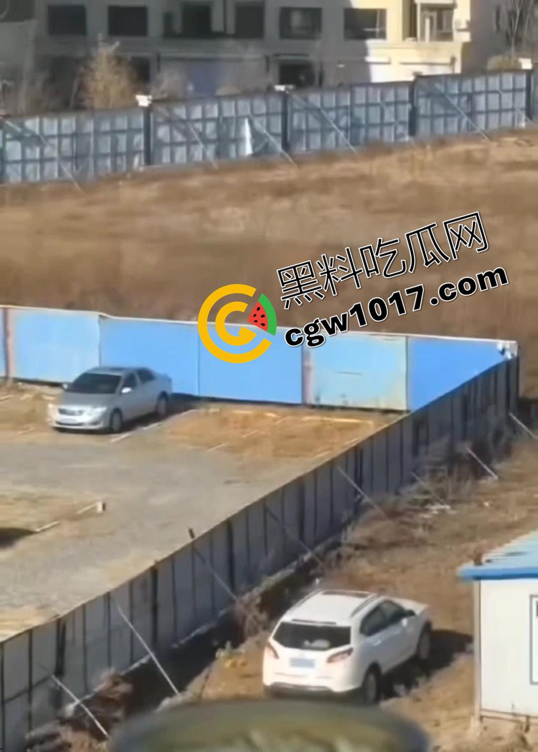 辽源市的吉DR3855 野外车震完整曝光!大屁股后入白嫩晃眼,车主直接社死全国!-3