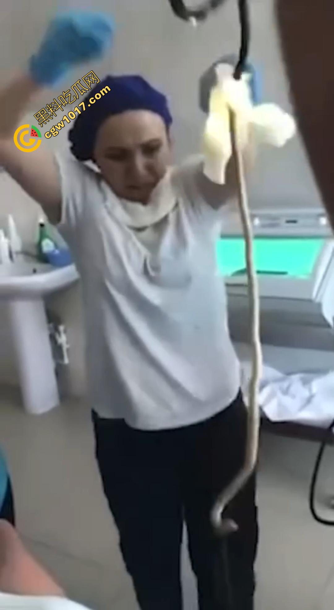 俄罗斯医院活拽1米毒蛇!女患者吞蛇卵孵化钻喉,医生手抖拽出瞬间到处乱窜!-4