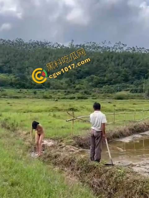 极品尤物CikaiMoon大尺度暴露！穿越稻田，酮体迷人，巨波荡漾，翘臀蹦跳，农民伯伯纷纷回眸，欲火中烧！-11