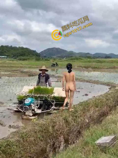 极品尤物CikaiMoon大尺度暴露!穿越稻田,酮体迷人,巨波荡漾,翘臀蹦跳,农民伯伯纷纷回眸,欲火中烧!-13