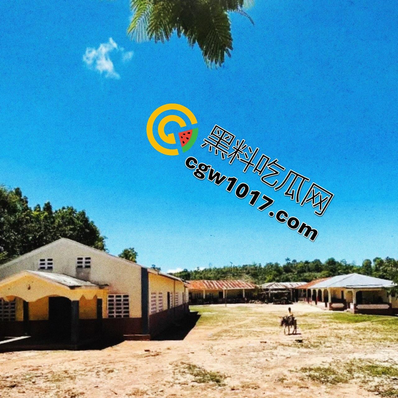 德克萨斯不养闲人 一位消防员 一位空军飞行员两人计划召集一支流浪汉军队,夺取海岸附近的一个岛屿并将所有女性都将成为性奴隶!-2