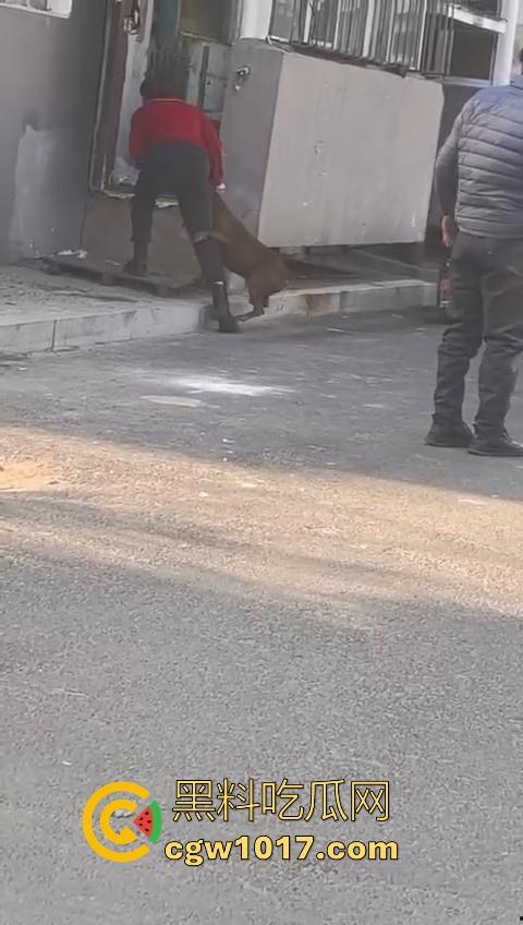 人狗街头大战！比特撕咬绝望老登，撕咬了一会主人拦开，狗子越想越气再次扑咬，不是路上这么多人就合着要这老头呗！-7