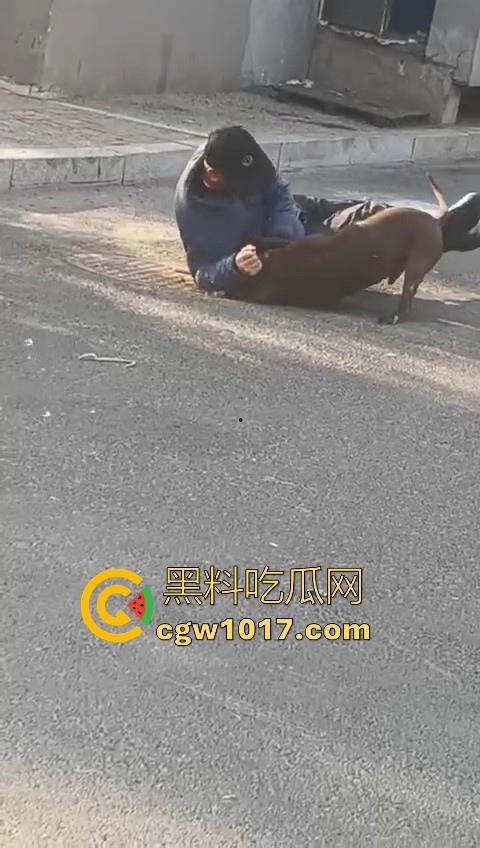 人狗街头大战！比特撕咬绝望老登，撕咬了一会主人拦开，狗子越想越气再次扑咬，不是路上这么多人就合着要这老头呗！-2