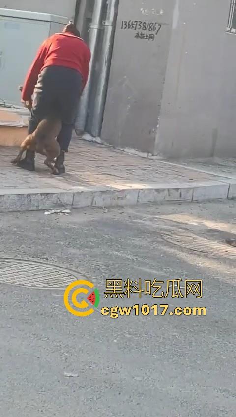 人狗街头大战！比特撕咬绝望老登，撕咬了一会主人拦开，狗子越想越气再次扑咬，不是路上这么多人就合着要这老头呗！-4