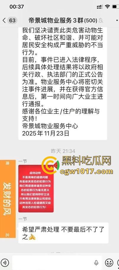广东揭阳缔景城小区有人虐猫，深夜拿弓箭弓弩射小区小猫咪，在小区乱射箭，如入无人之境，今天敢射猫明天就敢射人！-5
