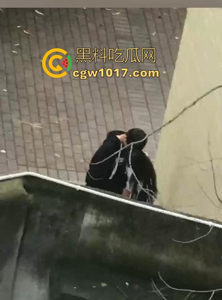 湖南师范大学宿舍角落小情侣偷情,我扣你的逼 你撸我的鸡,激情四射啊!熟悉的角落,熟悉的人,熟悉的动作!-6