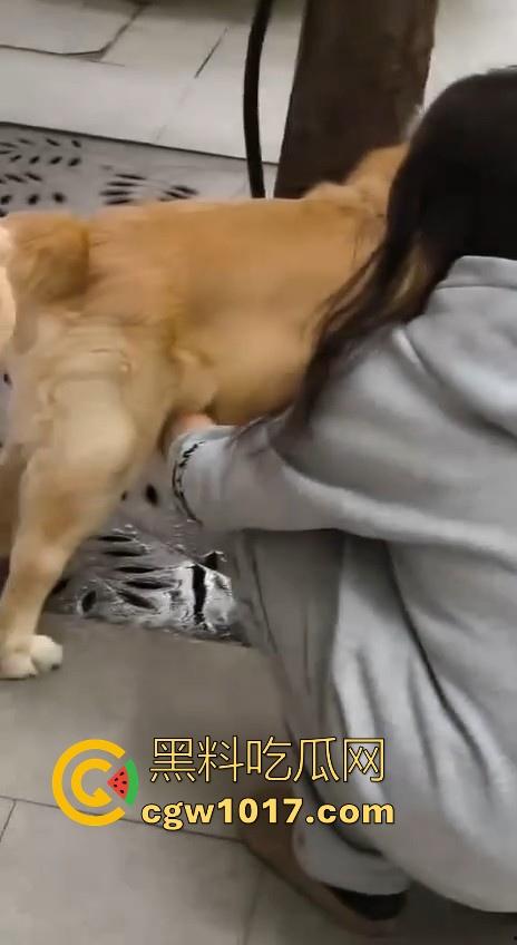 现在的人都这么阴到没边了吗？普通的帮男友打飞机不够刺激，现在流行帮狗打飞机了是吧，每天打几次狗也顶不住！-5