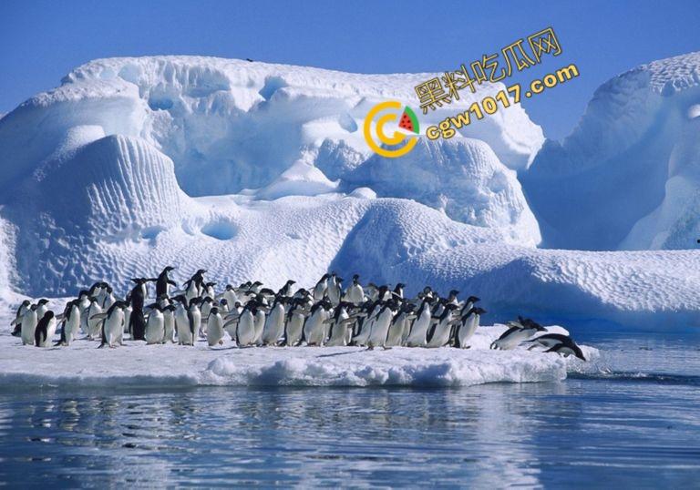 南极科考内部视频劲爆流出:30种未知致命生物!从“死亡之球”到“僵尸蠕虫”,史前病毒横行,足以令人毛骨悚然!-3