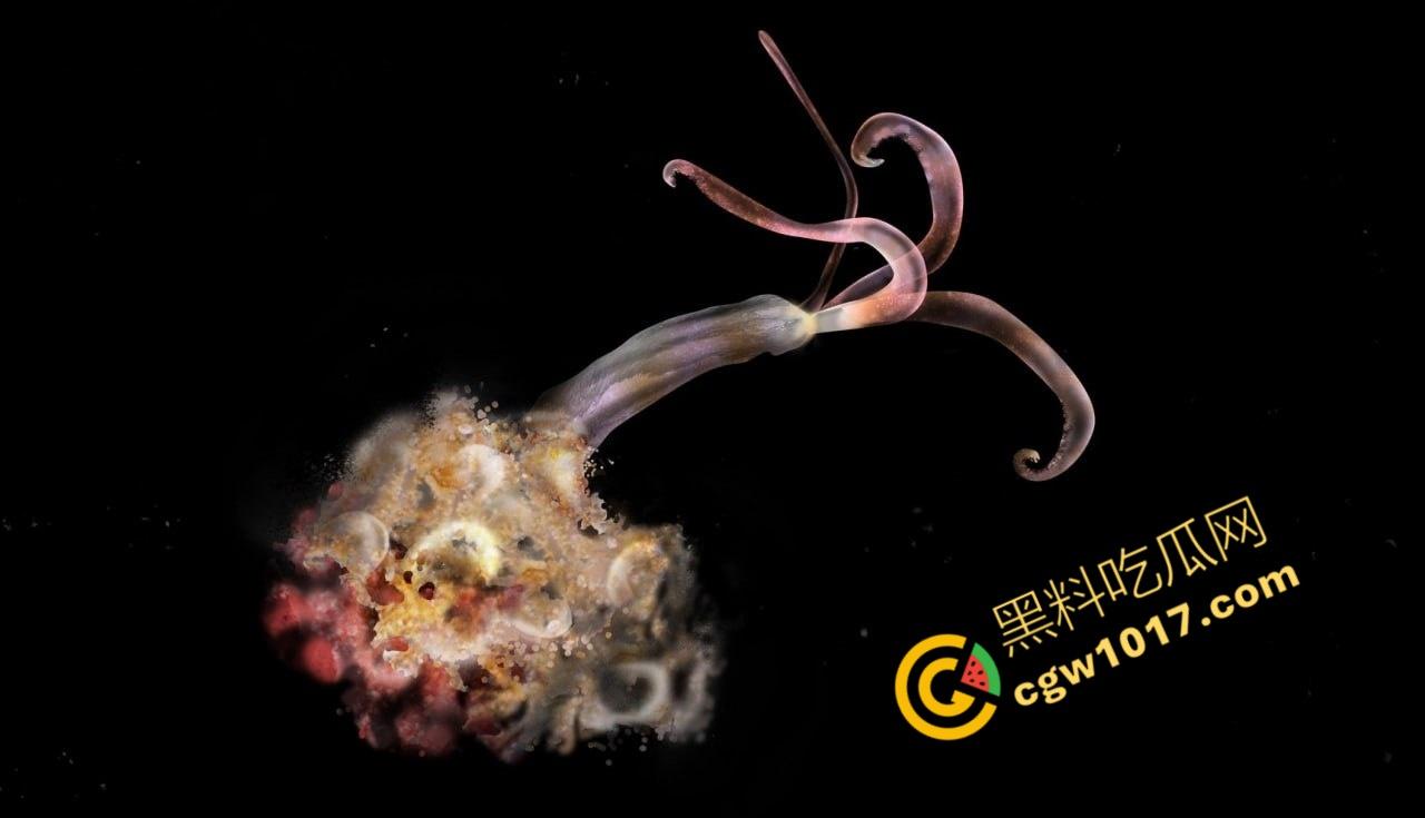 南极科考内部视频劲爆流出:30种未知致命生物!从“死亡之球”到“僵尸蠕虫”,史前病毒横行,足以令人毛骨悚然!-5