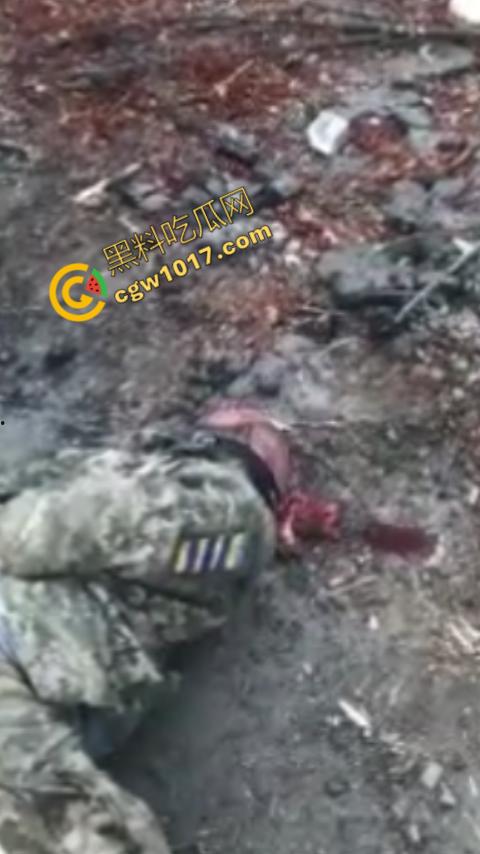 恐怖慎入:战俘被残虐致死内部视频曝光:耳朵,阴茎被残忍收割,现场画面血腥暴力,胆小这勿入!-9