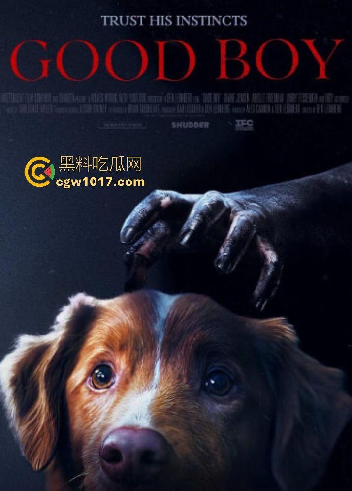 电影【好狗狗】,乡下老宅鬼影幢幢印第狂吠撕咬恶灵,邻居猎人装妖魔潜伏,忠犬搏命救主,真是条好狗狗!-1