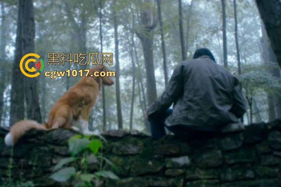 电影【好狗狗】,乡下老宅鬼影幢幢印第狂吠撕咬恶灵,邻居猎人装妖魔潜伏,忠犬搏命救主,真是条好狗狗!-3