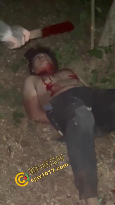 惊悚巴西雨林:鲜血四溅,砍喉视频引发恐慌,暴力画面惊骇世人,血腥场面令人喘不过气!-6