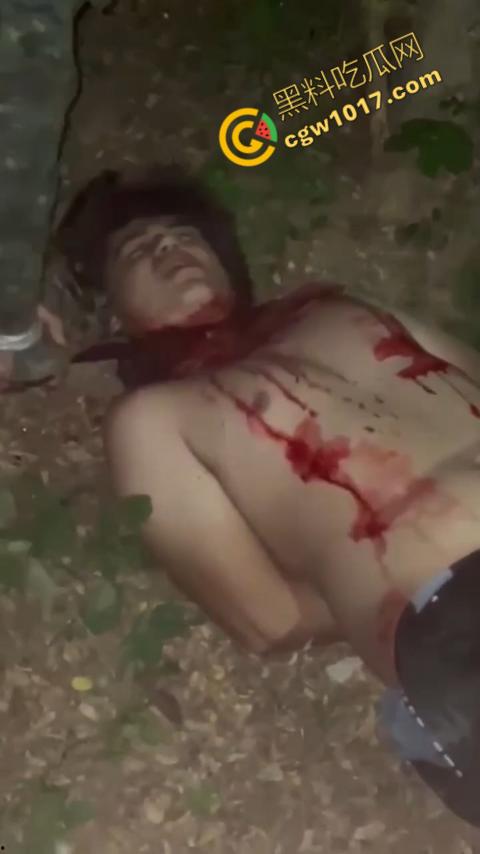 惊悚巴西雨林:鲜血四溅,砍喉视频引发恐慌,暴力画面惊骇世人,血腥场面令人喘不过气!-7