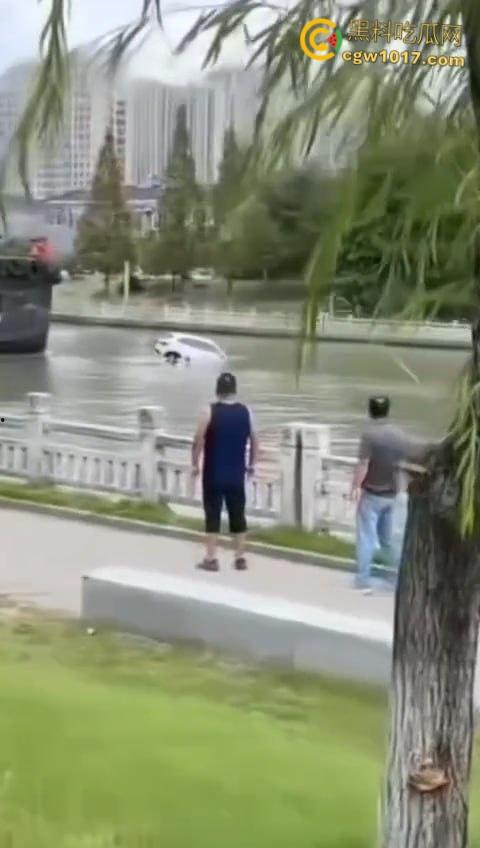 丹阳女司机油门当刹车,车子冲破栏杆栽进九曲河,幸好车窗围观女司机命大脱险,惊魂未定一出湿身戏!-4