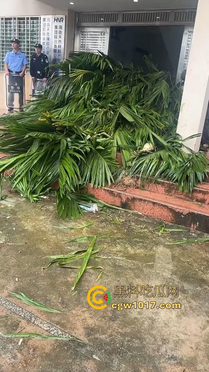 海南琼中爆发大规模群体抗争！因海南天然橡胶产业集团偷砍农民的槟榔田爆发，现场的农民们情绪机动！-6