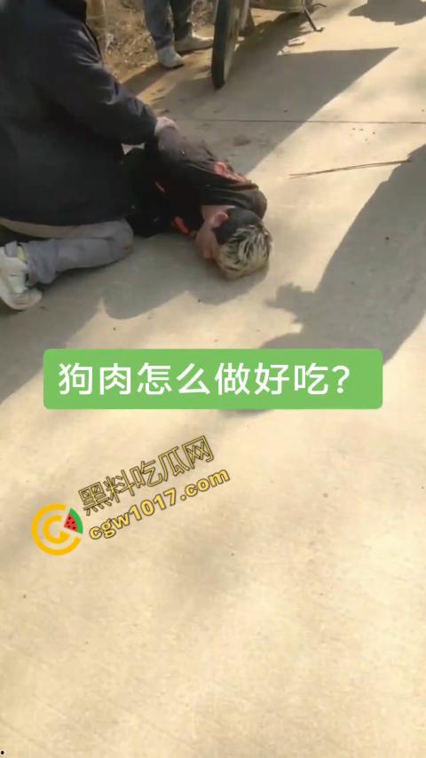 广西村民抓住偷狗贼,脱光殴打,场面血腥凶残,围观村民挥棒狂殴,男子惨嚎不断,村民誓要为爱犬复仇!-3