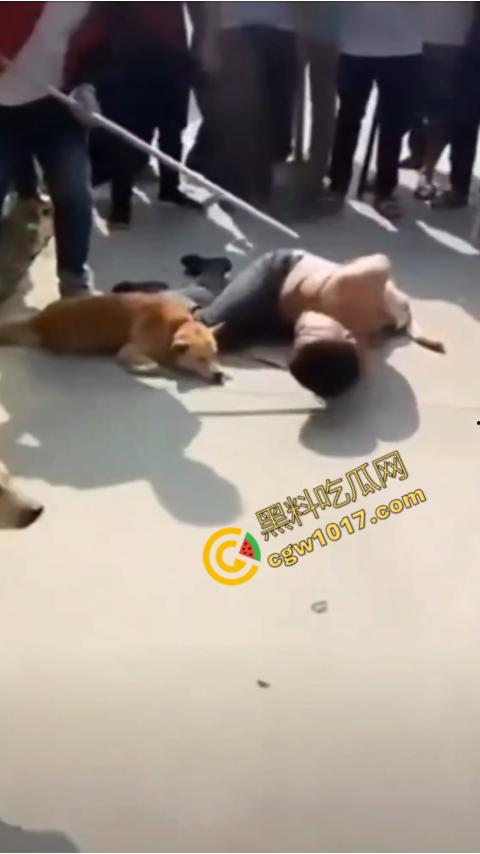 广西村民抓住偷狗贼,脱光殴打,场面血腥凶残,围观村民挥棒狂殴,男子惨嚎不断,村民誓要为爱犬复仇!-4