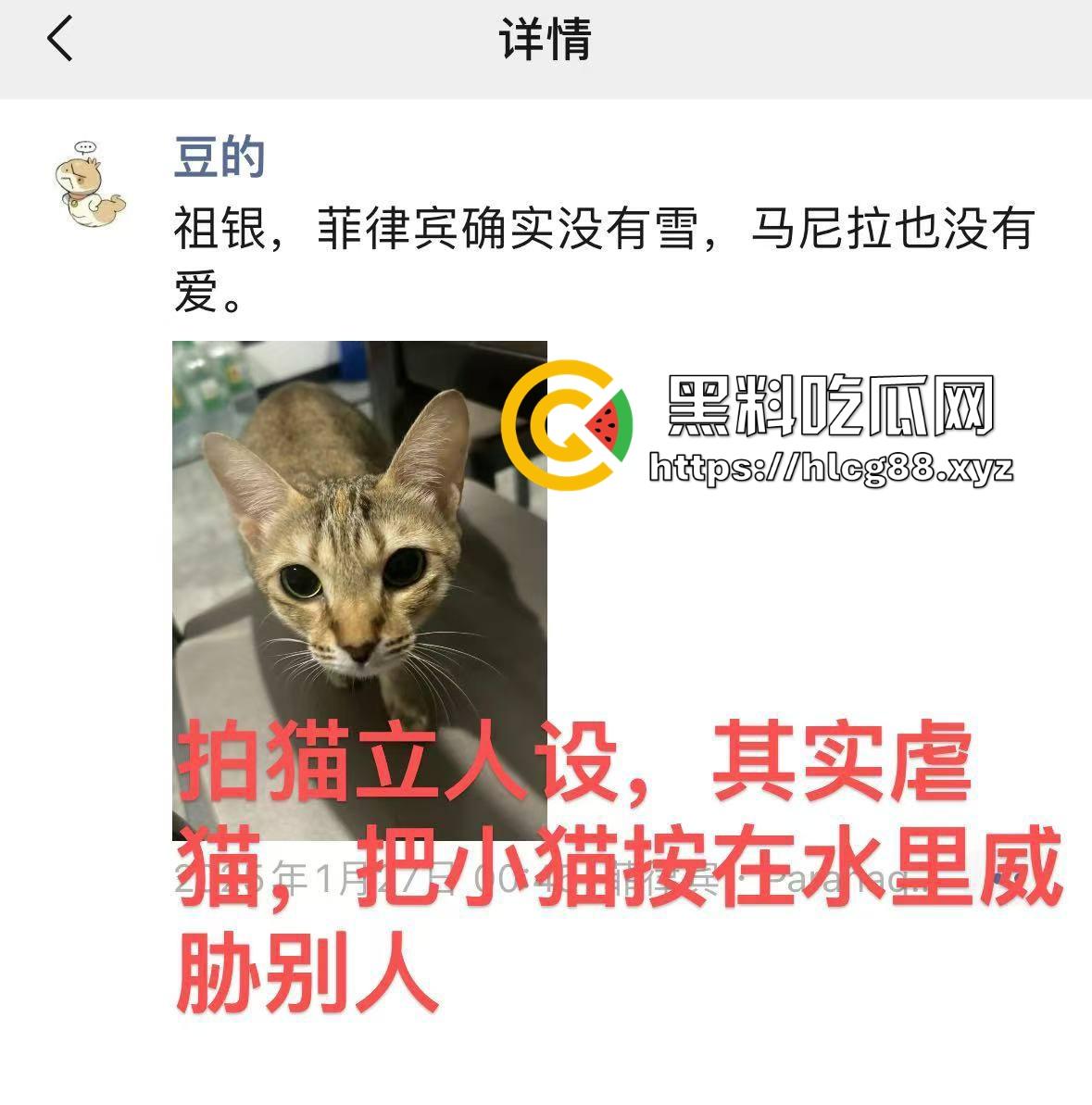 圣彼得堡留学生『豆豆』800一炮,金主老婆捉奸打烂逼,还偷表虐猫跑路!-15