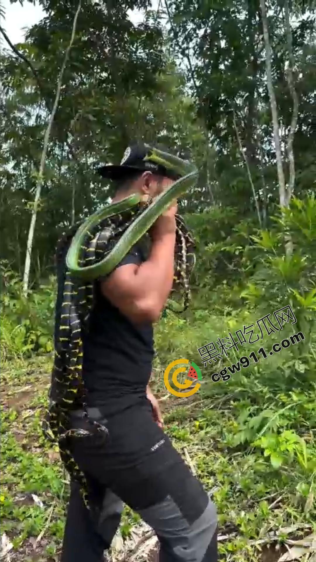 恐怖渗人!越南老哥终日与毒蛇共舞,练就百毒不侵的体魄,神操作直接看呆众人-3