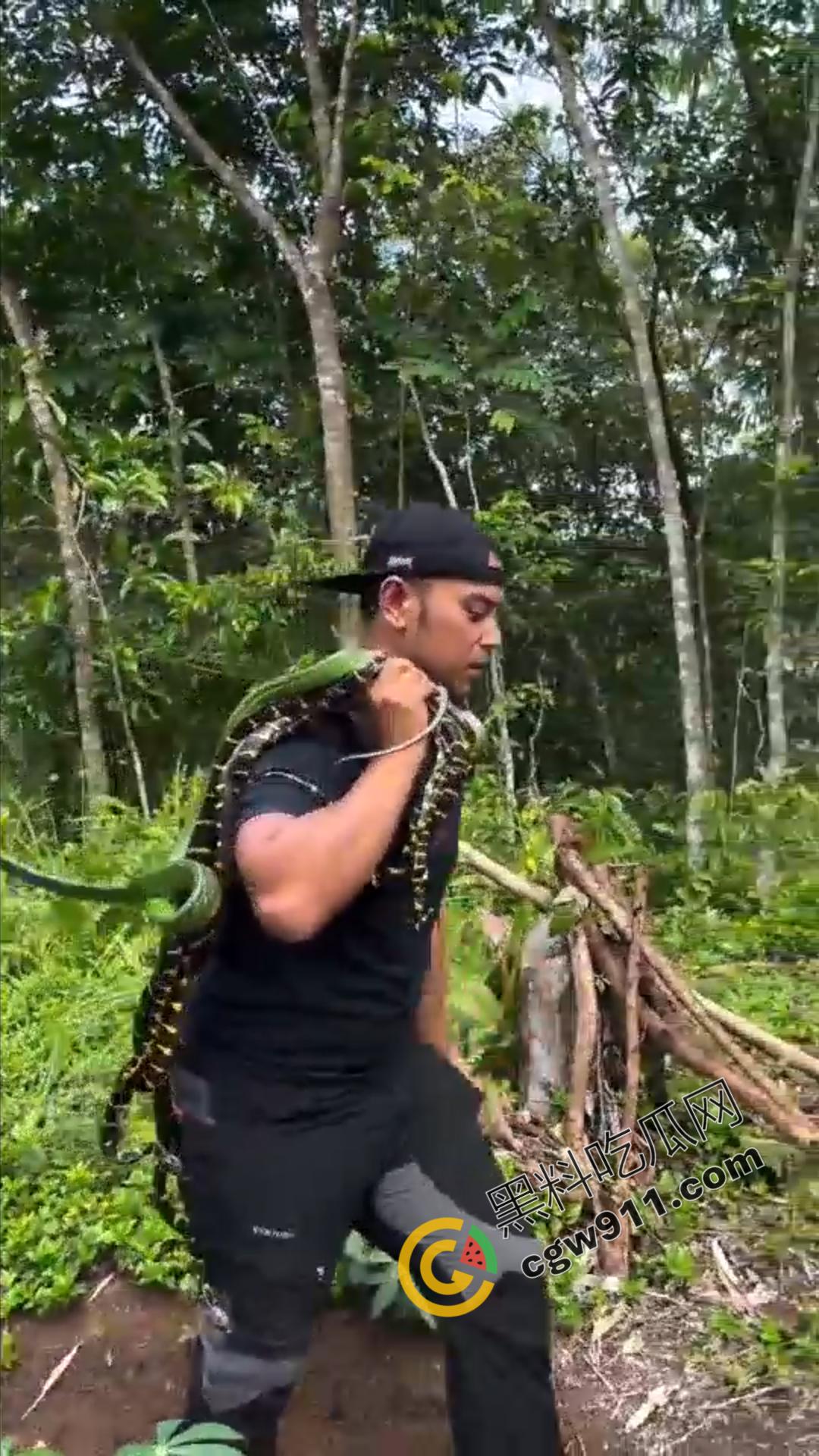 恐怖渗人!越南老哥终日与毒蛇共舞,练就百毒不侵的体魄,神操作直接看呆众人-4