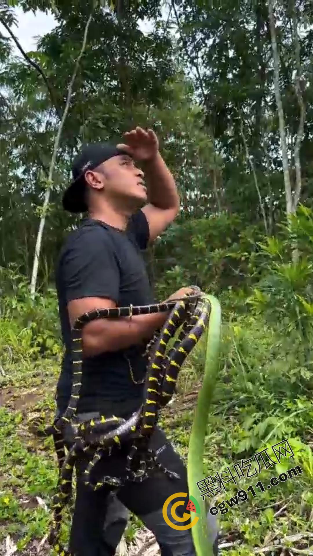 恐怖渗人!越南老哥终日与毒蛇共舞,练就百毒不侵的体魄,神操作直接看呆众人-5