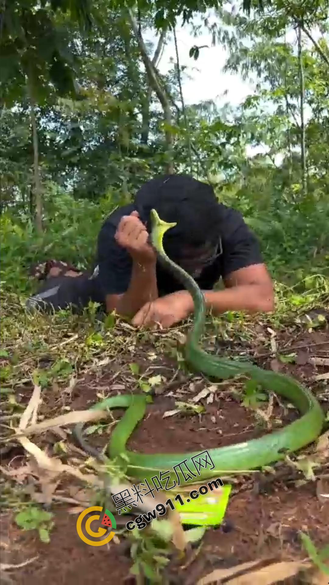 恐怖渗人!越南老哥终日与毒蛇共舞,练就百毒不侵的体魄,神操作直接看呆众人-6