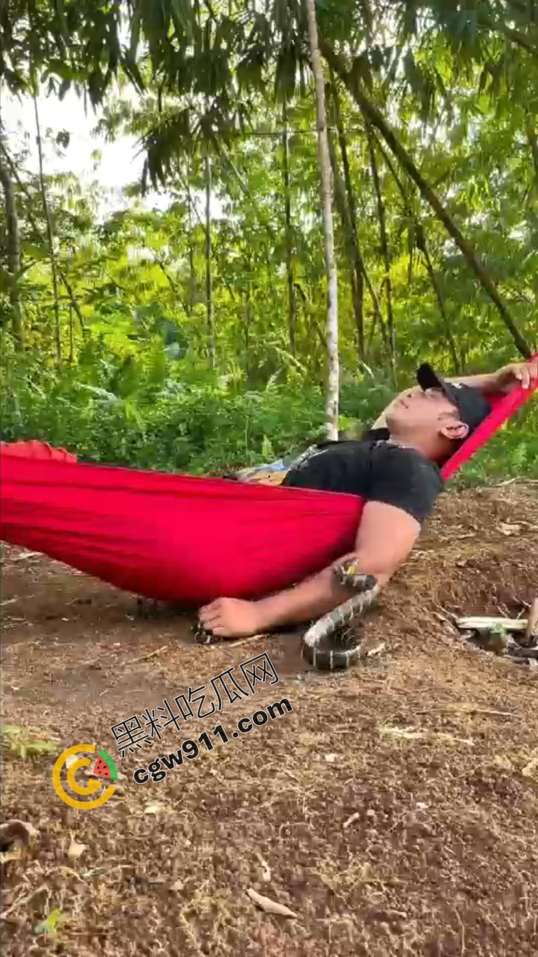 恐怖渗人!越南老哥终日与毒蛇共舞,练就百毒不侵的体魄,神操作直接看呆众人-9