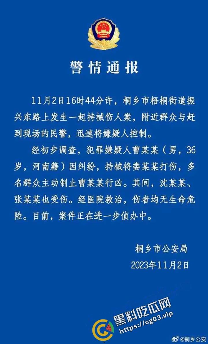 桐乡 男子因纠纷行凶 用榔头猛烈锤击美女律师头部 当场被制服-4