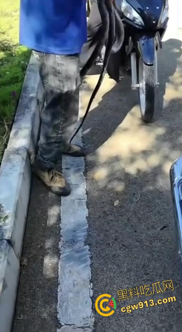 贵州男子徒手玩耍毒蛇，抽烟炫耀套脖子上到处甩，不料却是眼镜王蛇，最终被咬后两个小时死亡 !-4