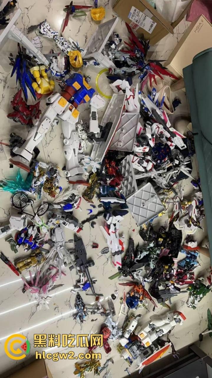 大型崩溃现场!高达爱好者男子与老婆吵架 上万模型珍藏被老婆砸毁 看完血压飙升!-13