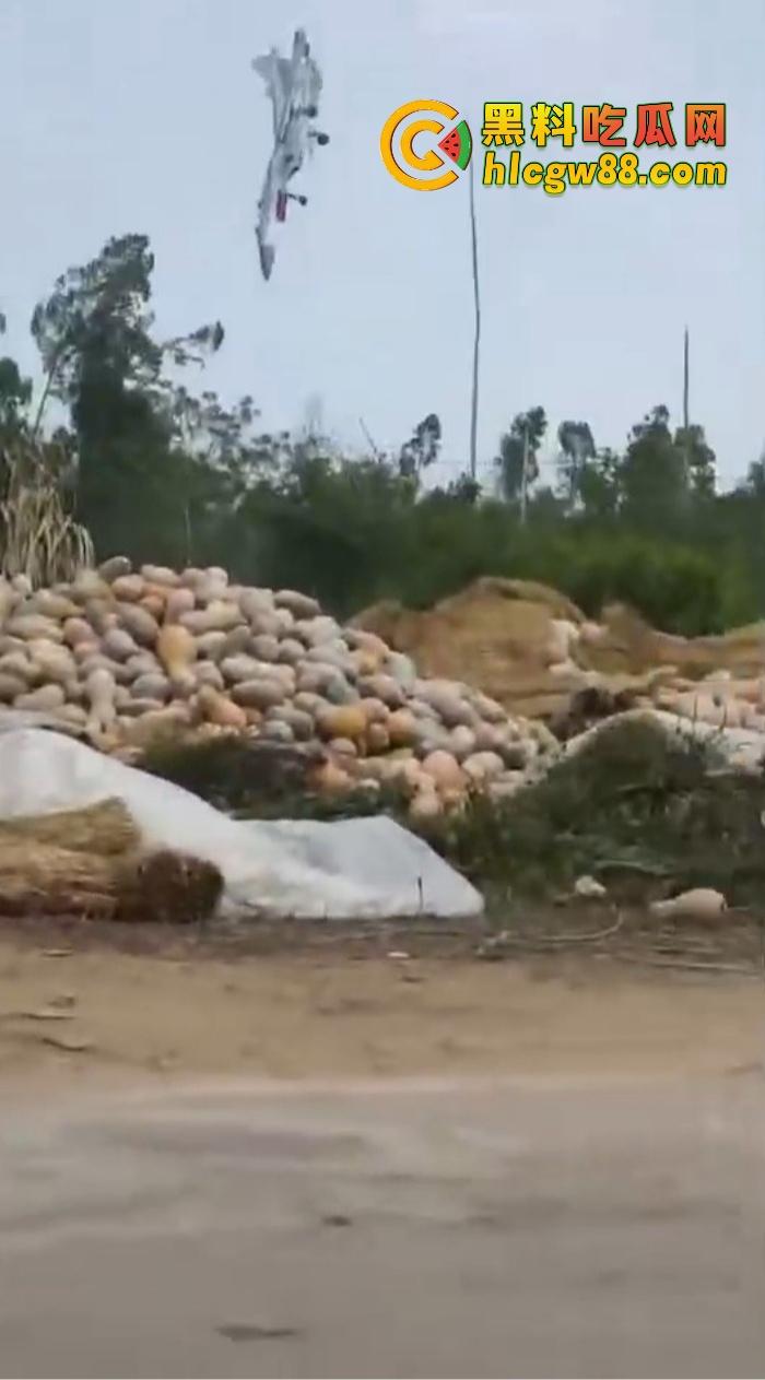 某战区海军战机海南训练失事,飞行员成功跳伞,战机坠毁临高县,所幸未造成地面损失!-10