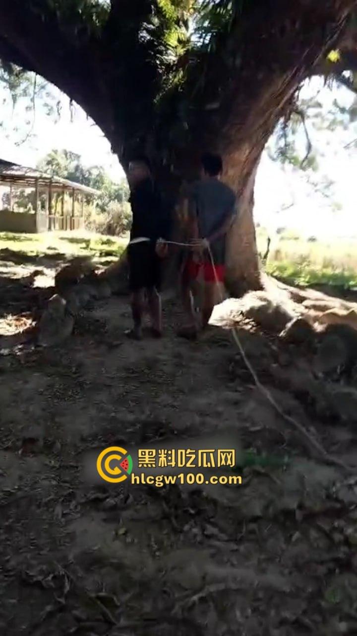 以色列与巴勒斯坦伊斯兰抵抗运动就加沙停火协议!双方又达成新的停火协议-3