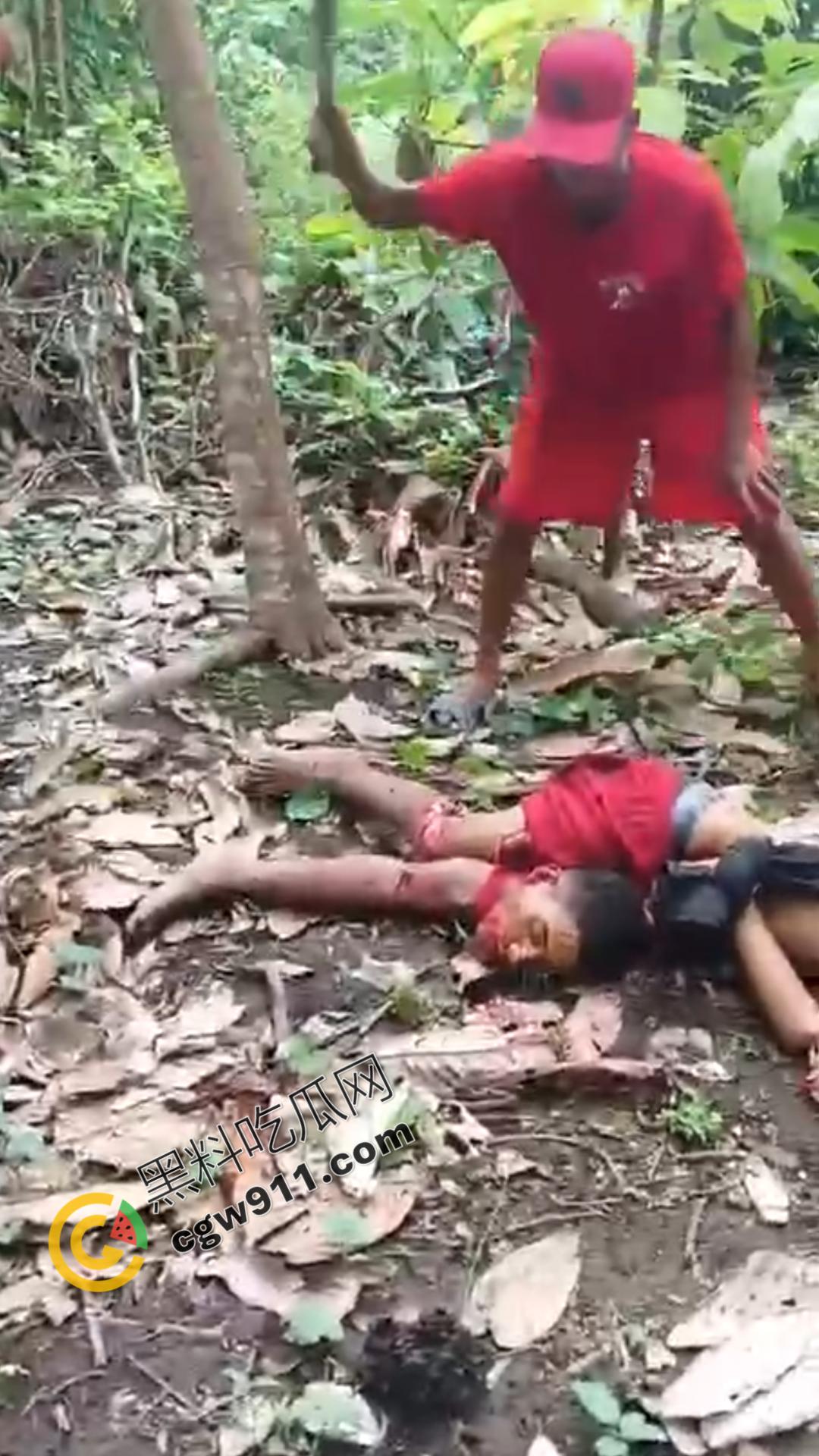 墨西哥毒枭残暴行径:年轻帮派成员遭野外肢解处决,鲜血四溅,画面极度血腥恶心,胆小者勿点-6