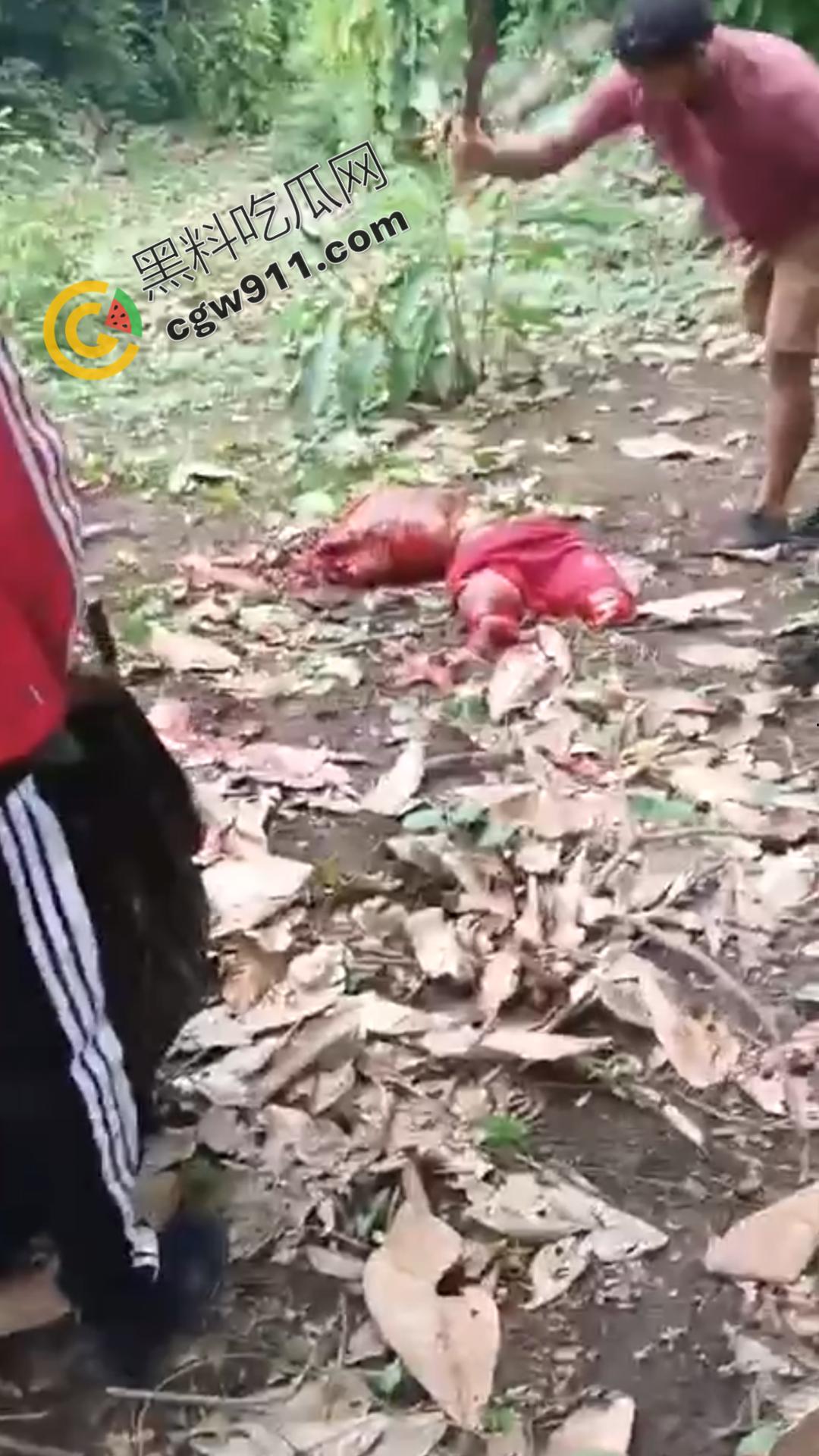 墨西哥毒枭残暴行径:年轻帮派成员遭野外肢解处决,鲜血四溅,画面极度血腥恶心,胆小者勿点-10