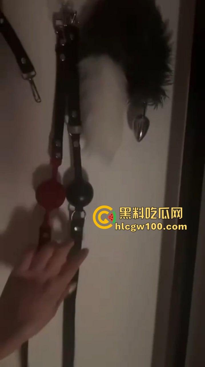 南京白虎小奴奴『冰儿』开SM工作室，微胖肉感骚到爆，最爱当肉便器被灌满，小穴湿滑喷射像喷水枪！-3