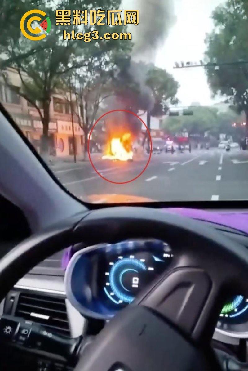 树:我没有动手啊!浙江一辆保时捷撞电动车后撞树起火驾驶人死亡!-4