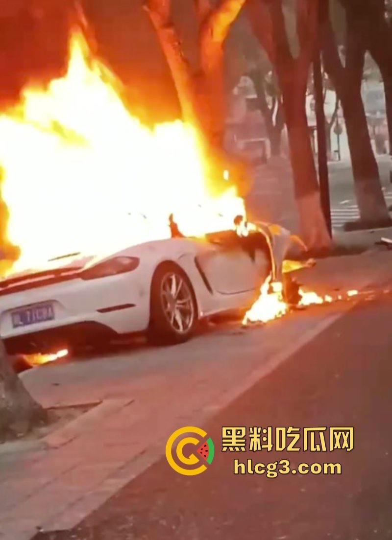 树:我没有动手啊!浙江一辆保时捷撞电动车后撞树起火驾驶人死亡!-5