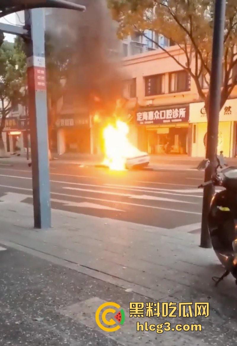 树:我没有动手啊!浙江一辆保时捷撞电动车后撞树起火驾驶人死亡!-6