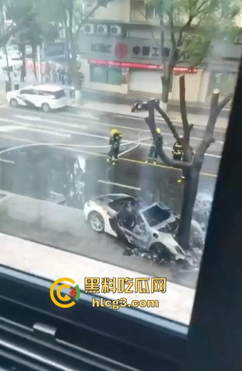 树:我没有动手啊!浙江一辆保时捷撞电动车后撞树起火驾驶人死亡!-7