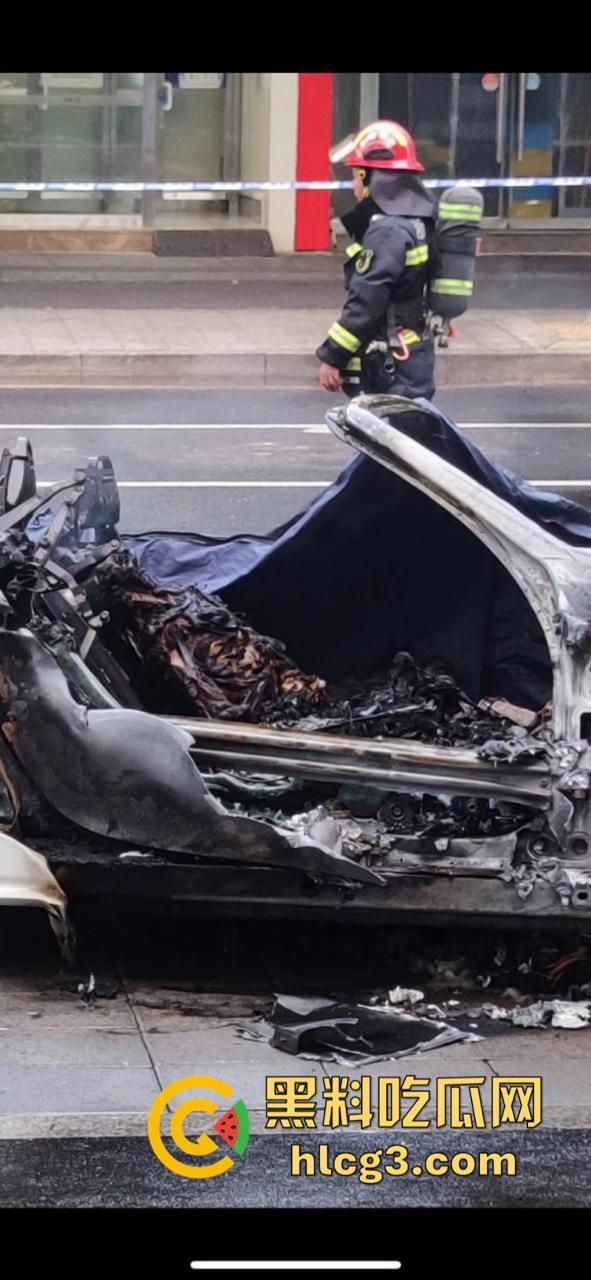 树:我没有动手啊!浙江一辆保时捷撞电动车后撞树起火驾驶人死亡!-9