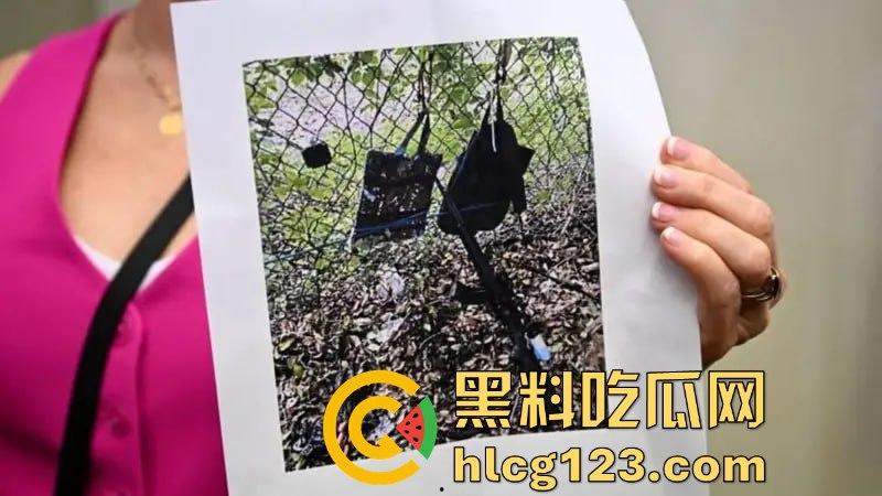 特朗普再遭暗杀未遂?耳朵险成牺牲品!为MAGA奋战,未来大统领只差一只耳!-15