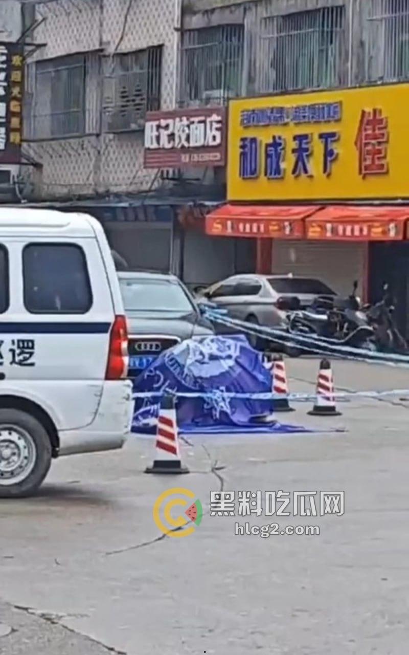 广东普宁市党委书记取快递遭持刀捅伤！纠纷引发一死一伤，嫌疑人被拘留-6