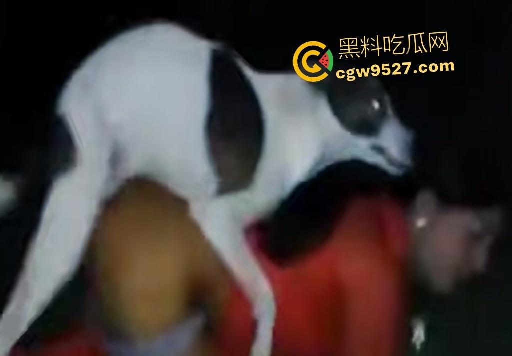 印度18岁少女为驱除“恶灵”,要嫁给一条流浪狗,深夜在户外被流浪狗后入,狗精子腥臭四溢!-3