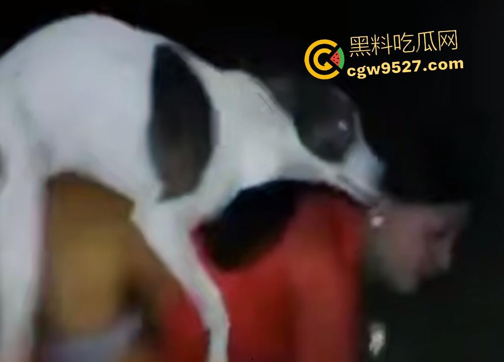 印度18岁少女为驱除“恶灵”,要嫁给一条流浪狗,深夜在户外被流浪狗后入,狗精子腥臭四溢!-6