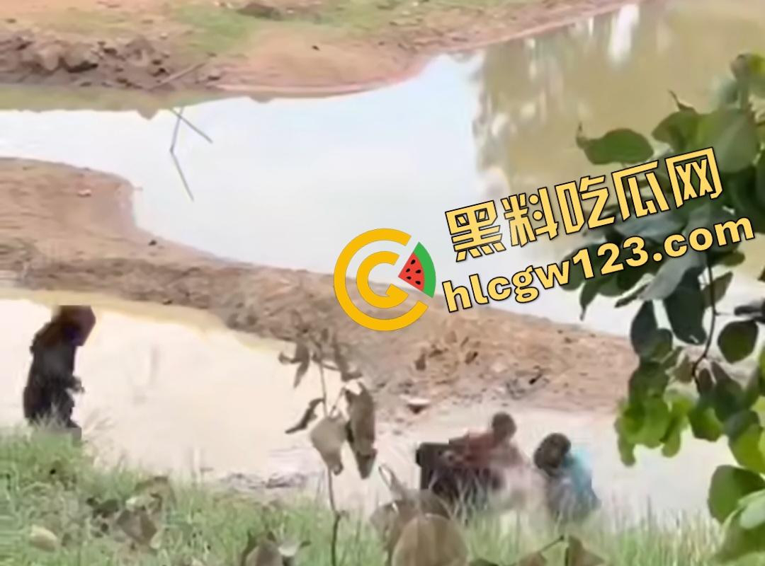 印度小哥翘屁股挑衅精神小伙被操翻!群殴打得满地找牙,警察来了也在一旁看戏!-3