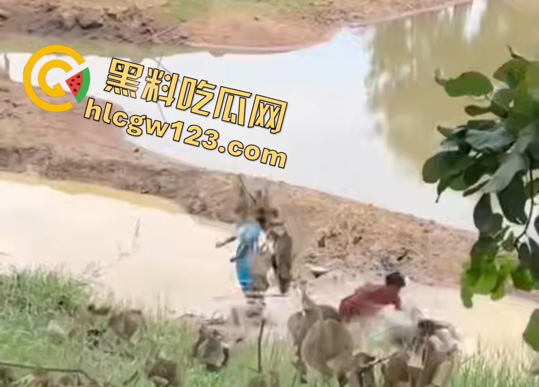 印度小哥翘屁股挑衅精神小伙被操翻!群殴打得满地找牙,警察来了也在一旁看戏!-4