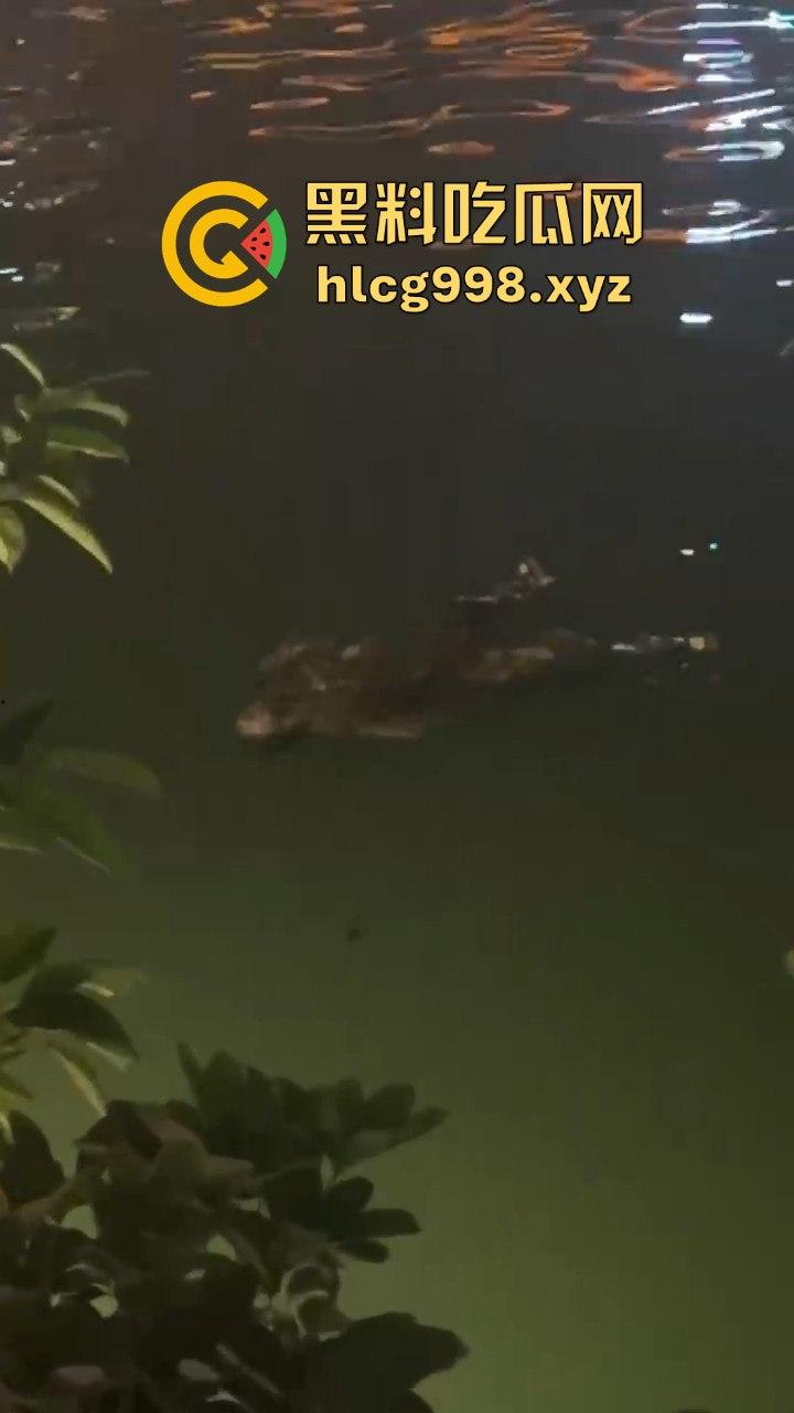 瓜友爆料!成都兰桂坊门口河里惊现浮尸,场面诡异引发热议!-7