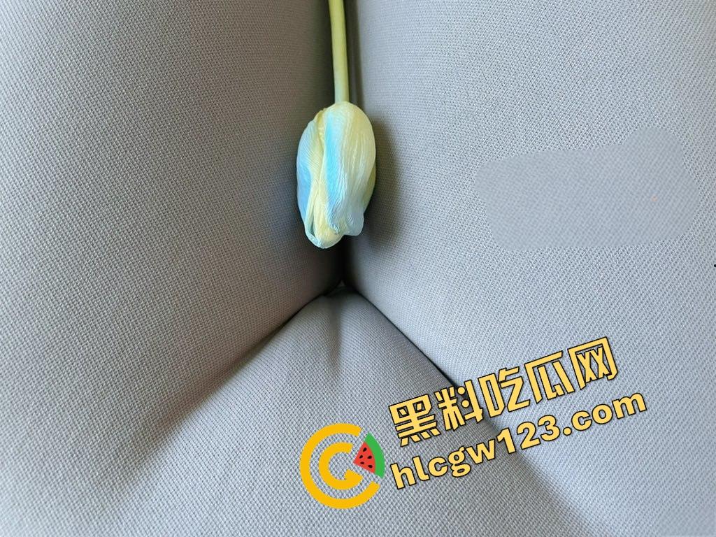 苏州白富美『桐柳』人前高贵冷艳,人后淫荡抓鸡狂魔!最爱不割的原生态,舔着舔着就主动骑上来了!-2